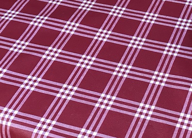 red and white check coated placemats